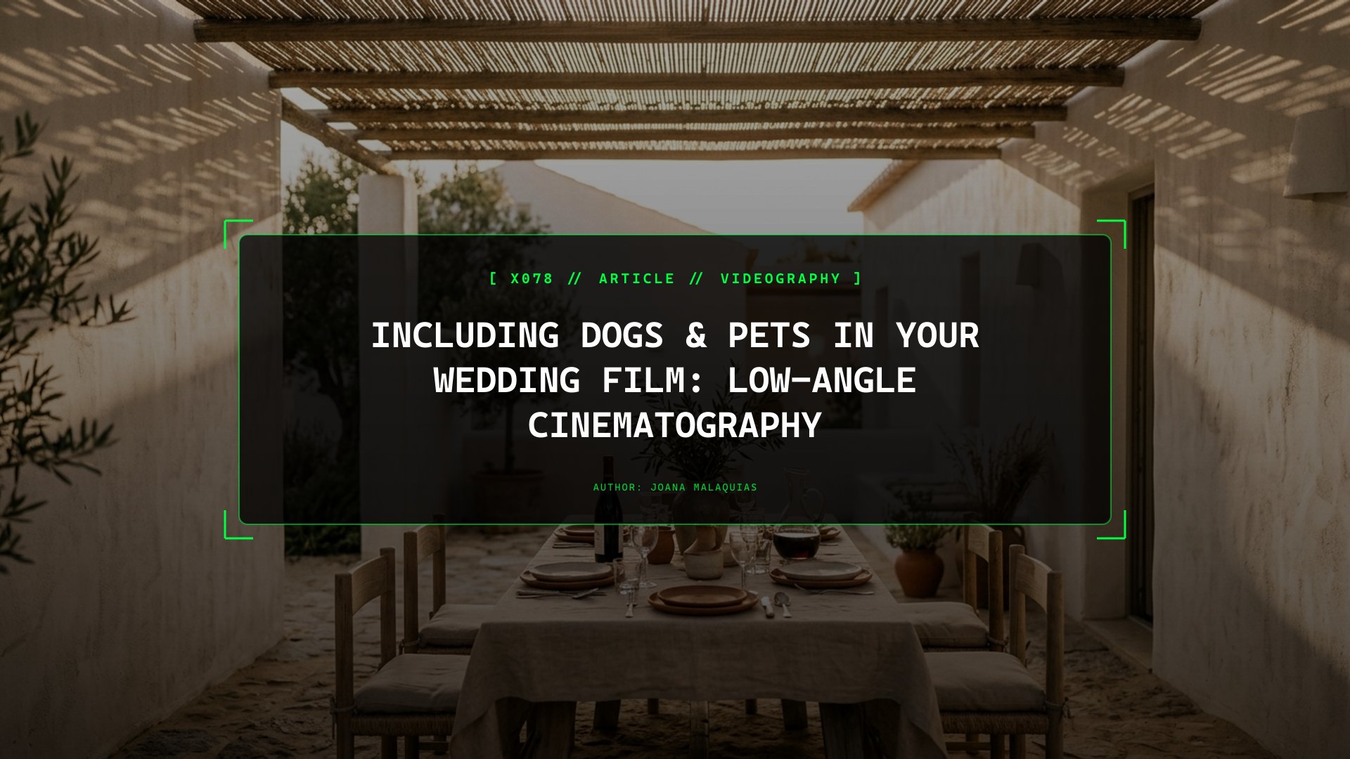 Including Dogs & Pets in Your Wedding Film: Low-Angle Cinematography
