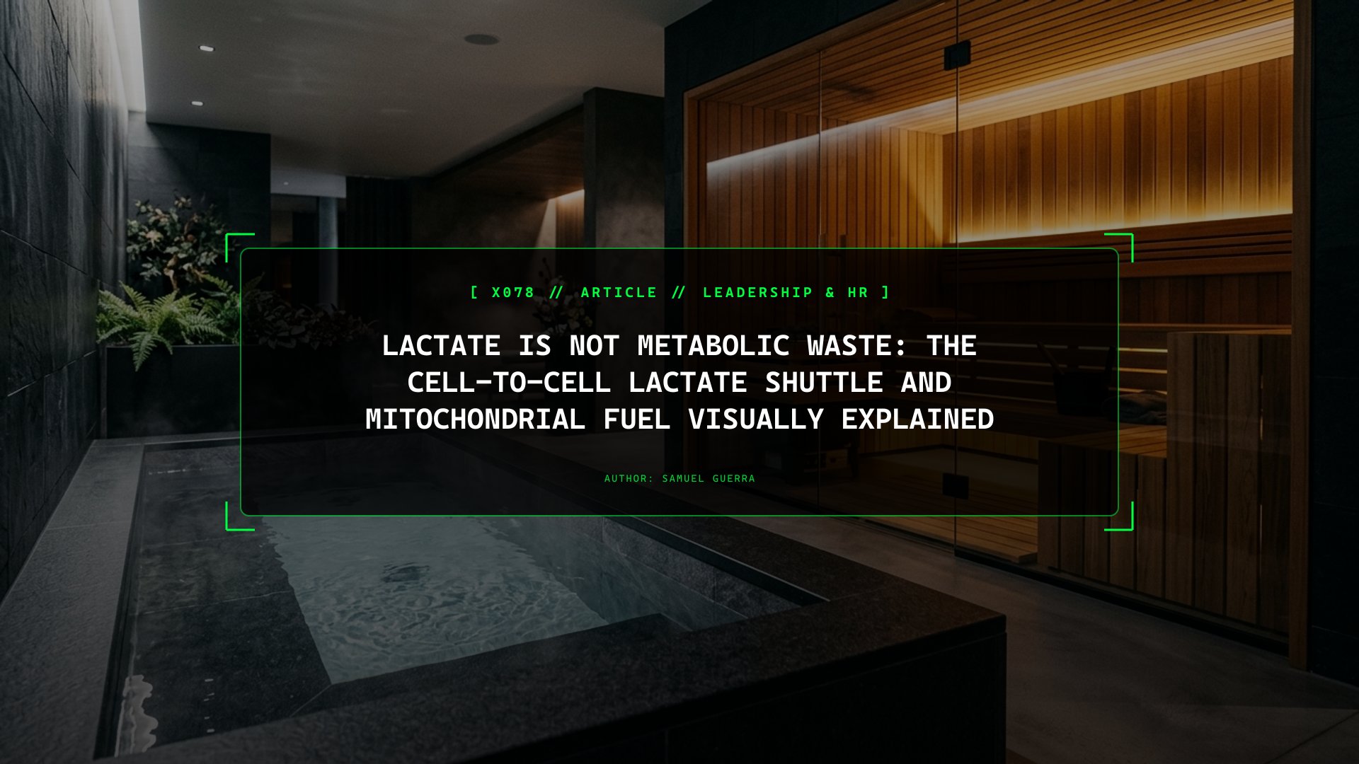 Lactate Is Not Metabolic Waste: The Cell-to-Cell Lactate Shuttle and Mitochondrial Fuel Visually Explained