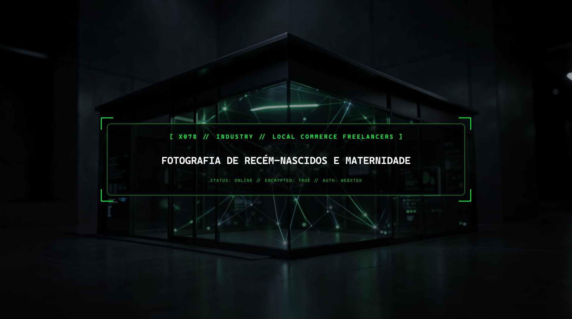 Serviços para Fotógrafos de Bebés e Grávidas